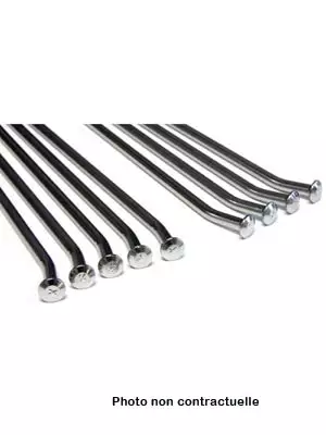 Jeu de rayons 18 pouces Inox Beta 125 RR