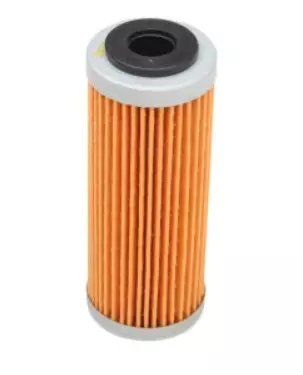 Filtre a huile Twin Air Gas Gas 250 MC-F