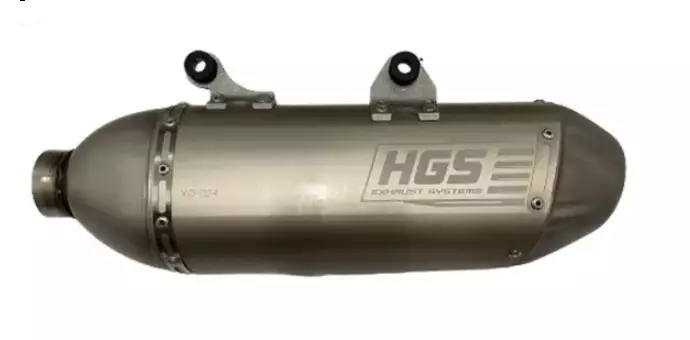 Silencieux HGS Alu Gas Gas 250 EC-F