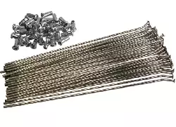 Jeu de rayons 21 pouces Acier Chrome