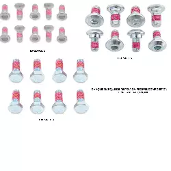 Kit vis pour disque de freins Bolt